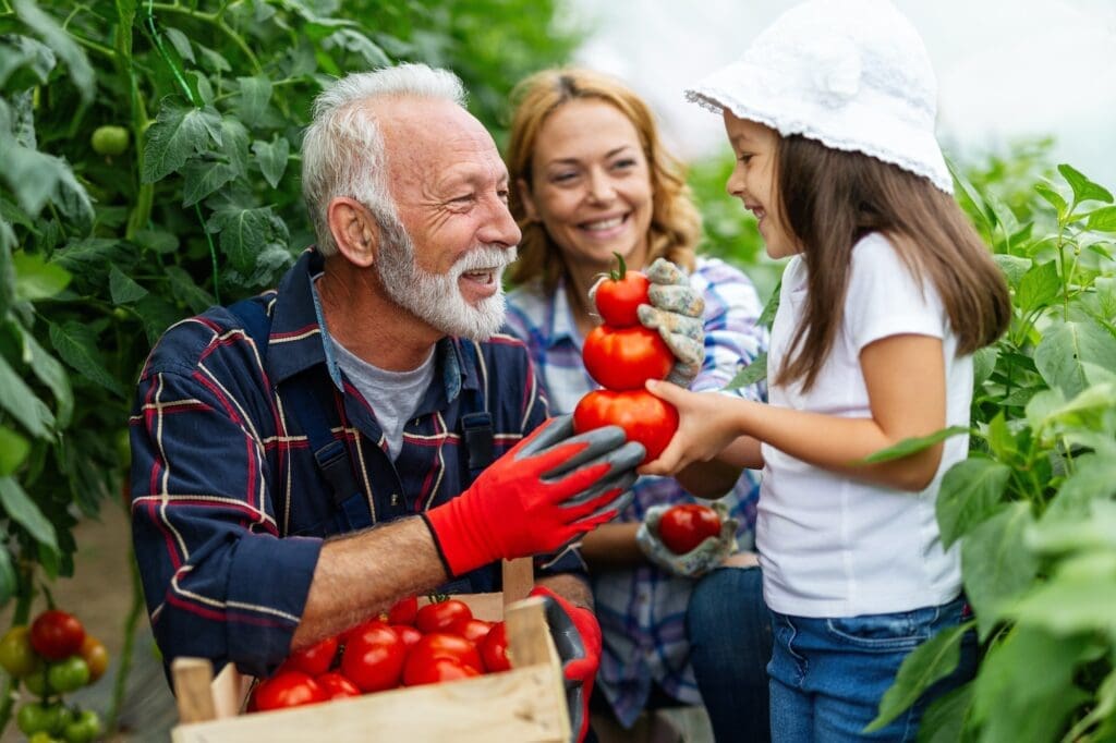 grandfather growing organic vegetables with family at bio farm people healthy food concept