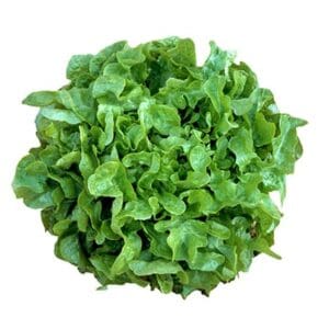 3255