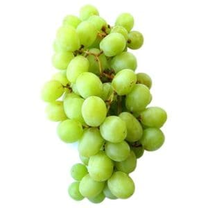 6291