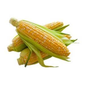 7403