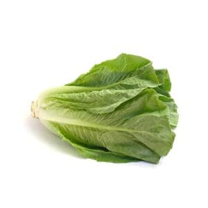 7595