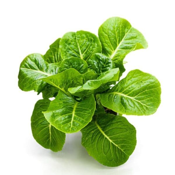 57980