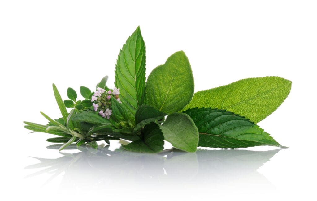 herbs
