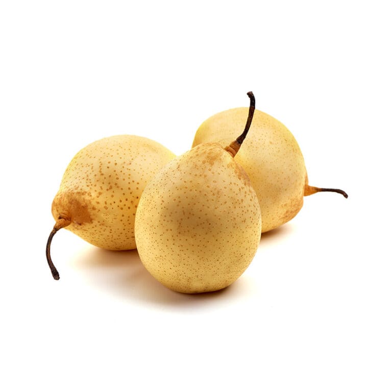 sm asian pear
