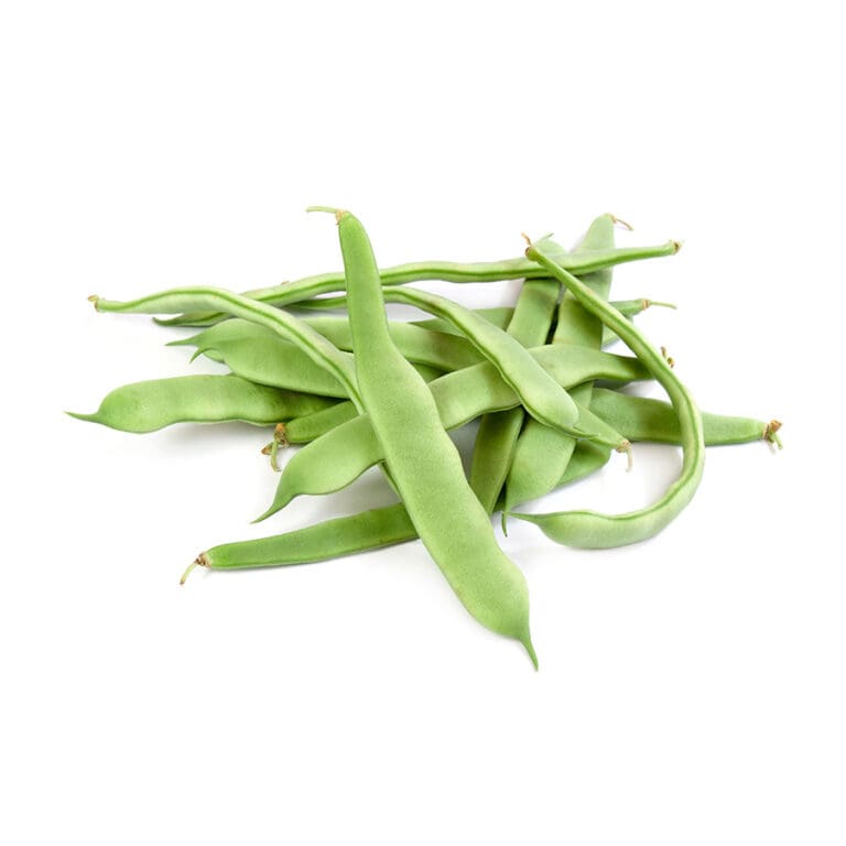 sm fava beans
