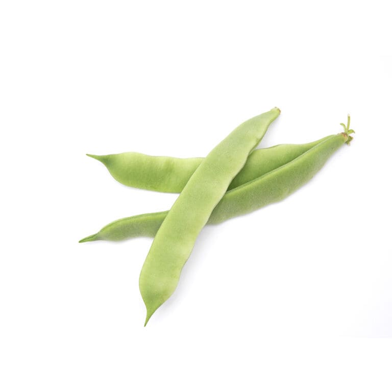 sm flatpole beans
