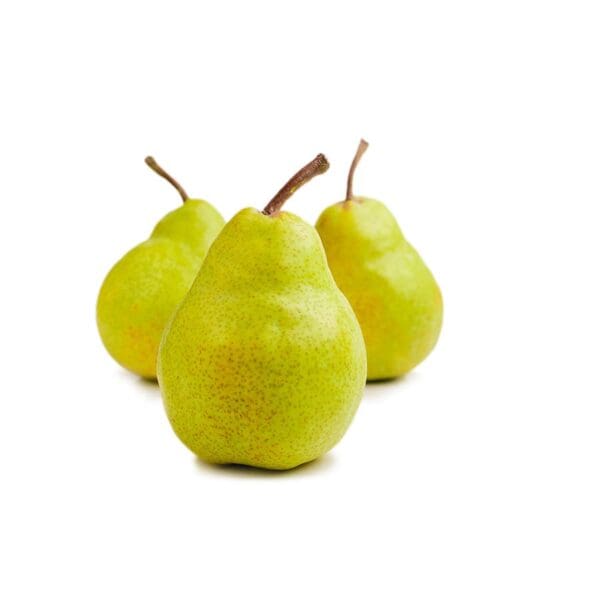 sm packham pear