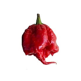 aaCarolinaReaper