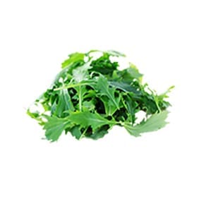aaMizunaLettuce
