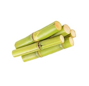 aaSugarCane