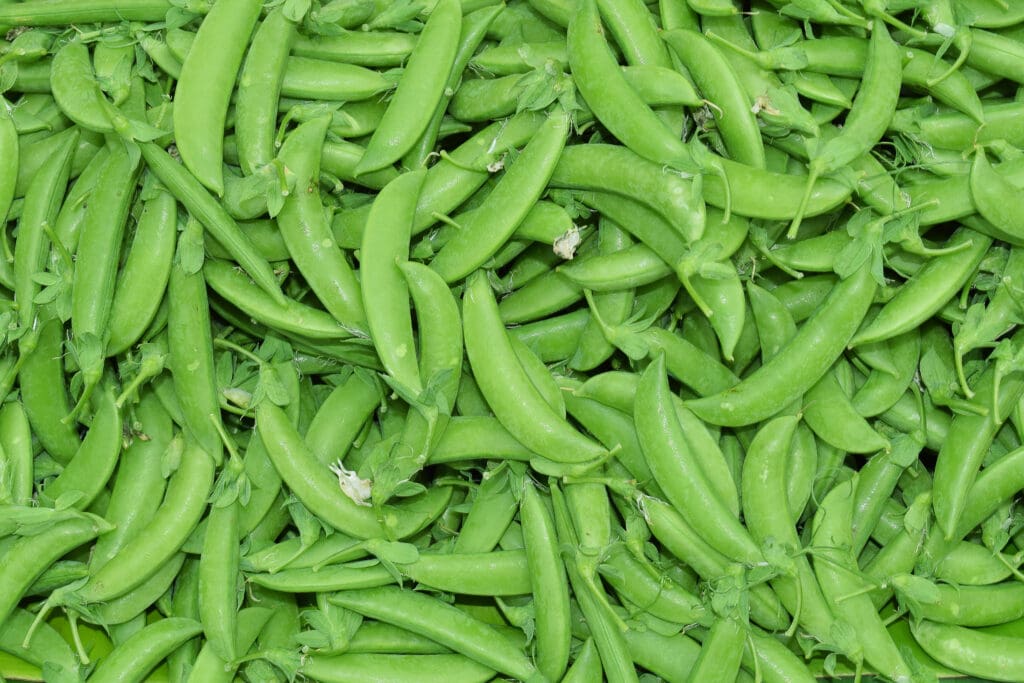 57761 English Peas in Pod scaled