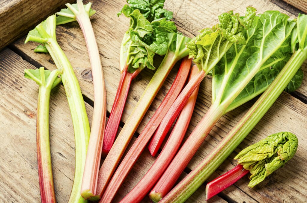 57851 rhubarb 02 scaled